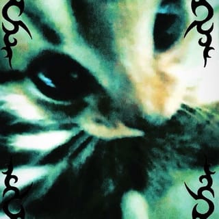 fable